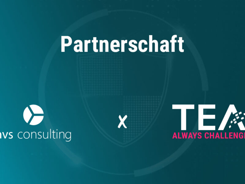 Blog Headerbild hvS Consulting TEAL